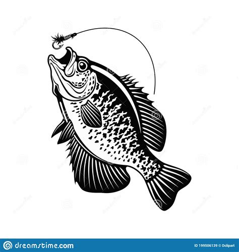 Crappie Fish Silhouette Cartoon Vector | CartoonDealer.com #200691213