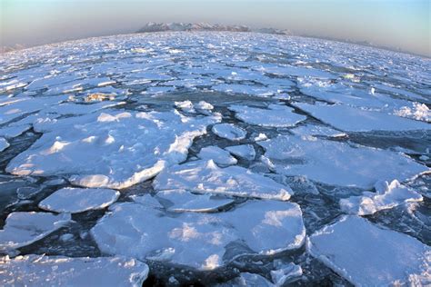 Study finds summertime Arctic Ocean "more vulnerable to climate change"