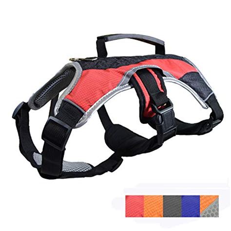 Best Senior Dog Harness with a Handle - PatchPuppy.com