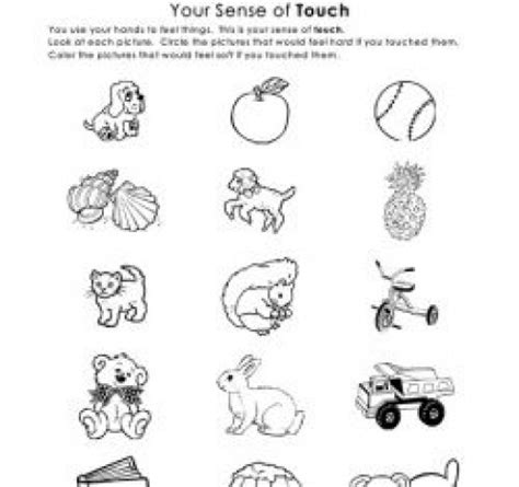 Teaching Sense of Touch - The Five Senses | HubPages