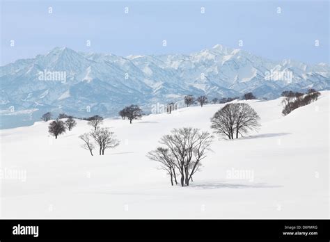 Niigata snow hi-res stock photography and images - Alamy