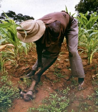 Farming | The Yoruba Blog