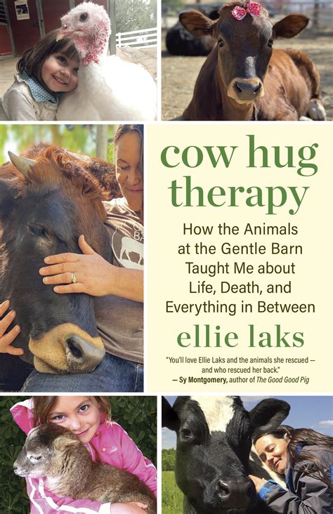 ‘Cow Hug Therapy’ book shares the healing power of cows