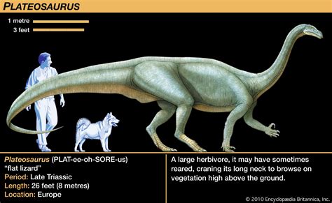 Triassic Period - Reptiles, Mammals, Evolution | Britannica