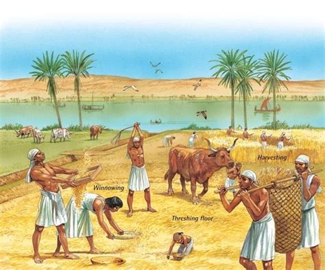 an image of people in the desert with animals and plants around them, including cows