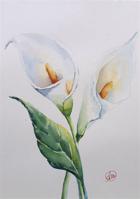 Calla Lily Watercolor Painting Calla Lilies Original - Etsy | Disegno acquerello, Acquerello ...