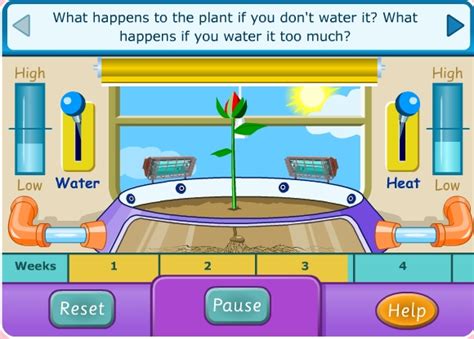 Warren Sparrow: Learn about how plants grow Interactive