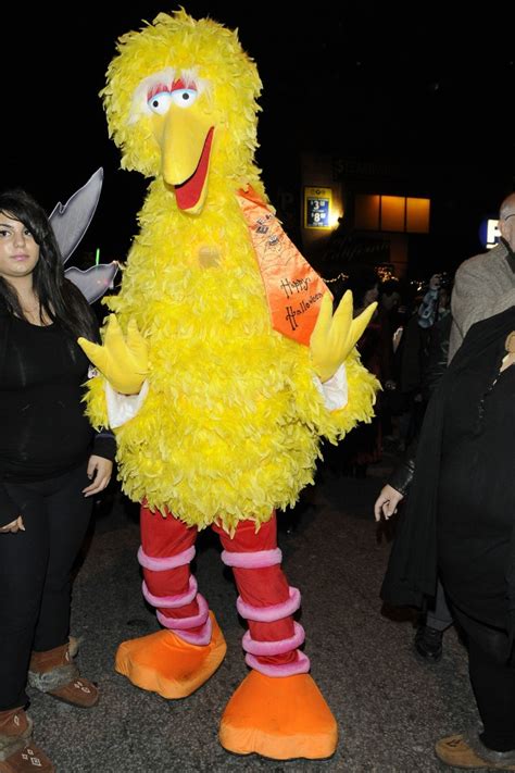 Big Bird Costumes (for Men, Women, Kids) | PartiesCostume.com