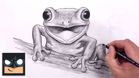 Realistic Frog Drawing