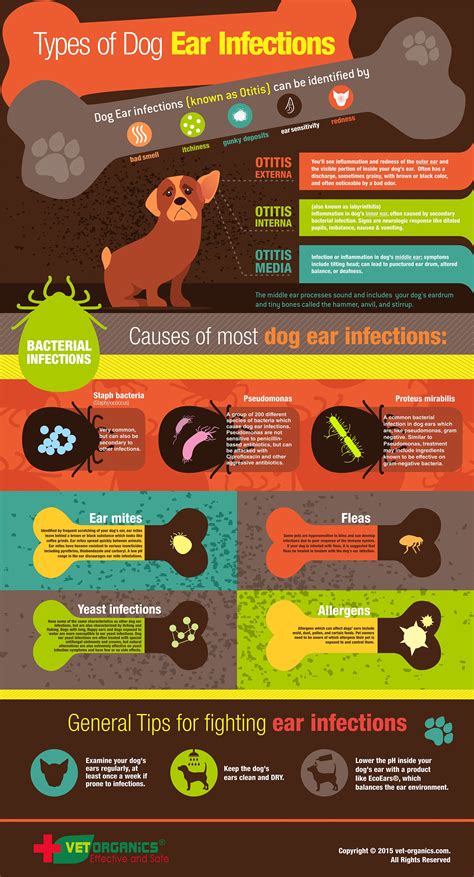 Types of Dog Ear Infections - Dogs Ear Infection Treatment – Vet Organics