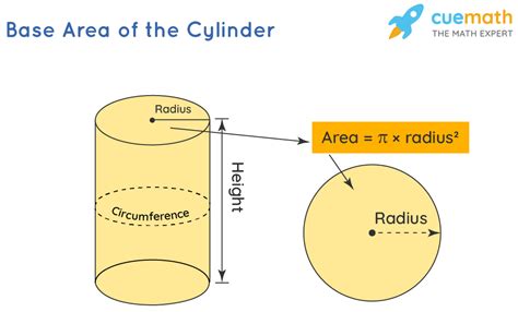 Cylinder Area