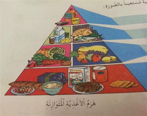 BLOG PANITIA BAHASA ARAB: Piramid Makanan Seimbang