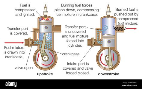 Blower-scavenged, two-stroke-cycle engine with uniflow scavenging, displaying both upstroke and ...