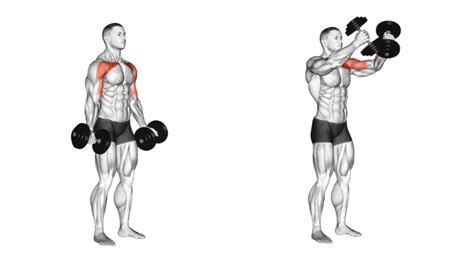 Standing Dumbbell Fly: How to Do, Muscle Worked, Tips