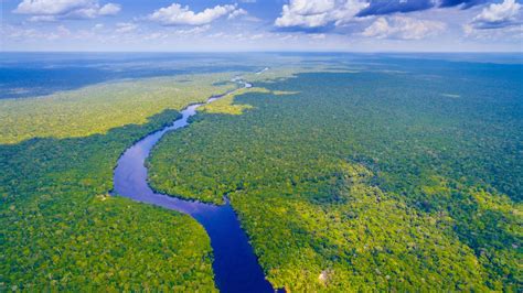 The Amazon rainforest is under threat: here’s how you can help - Lonely Planet