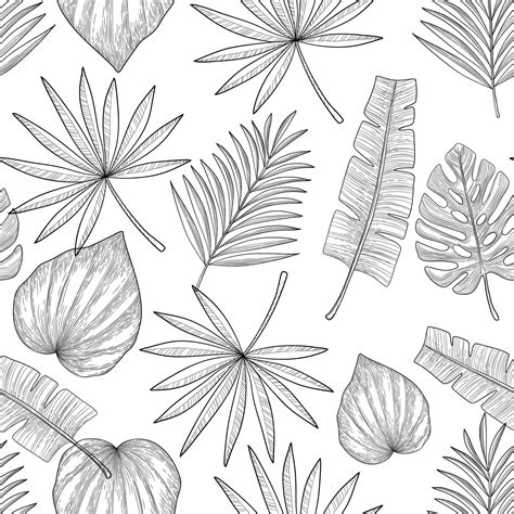 Black vector palm leaves on white background. Hand drawn seamless ...