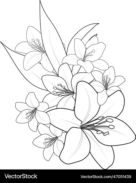 Outline lily tattoo design flower coloring page Vector Image