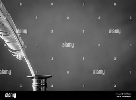 Neutral pen Black and White Stock Photos & Images - Alamy