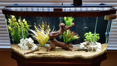 30 Gallon Long Aquarium For Sale - Aquarium Views