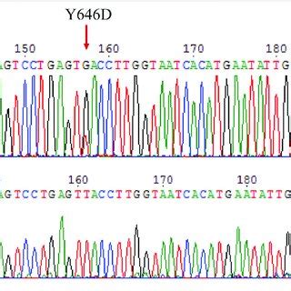 | Mutation analysis on the c-KIT gene for surgical melanoma specimen ...