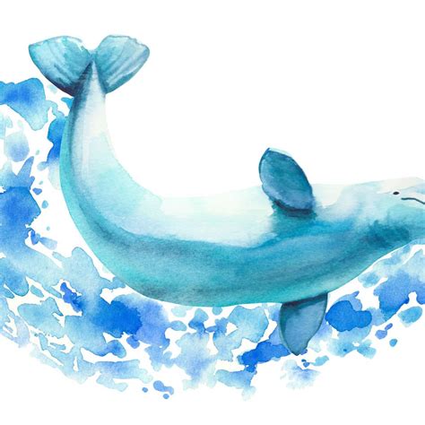 Beluga Whale Sighting Wall Art | Photography