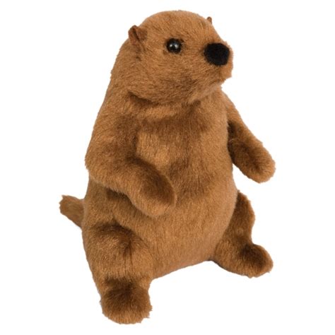 Mr. G. the Groundhog Stuffed Animal by Douglas