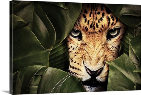 Jungle Leopard Wall Art, Canvas Prints, Framed Prints, Wall Peels | Great Big Canvas