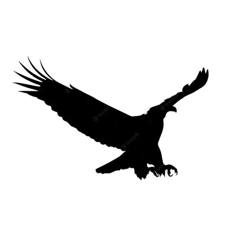 Premium Vector | Bald Eagle In Flight in silhouette stock illustration