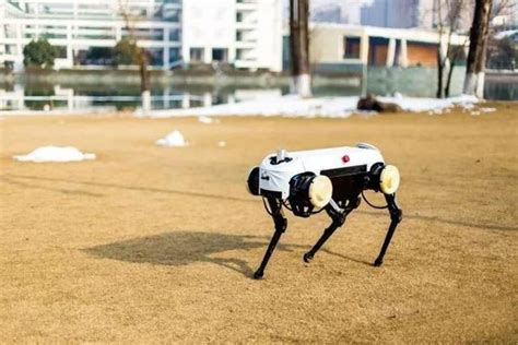 Leading Chinese University Aims to Rival Boston Dynamics With Robot Dog