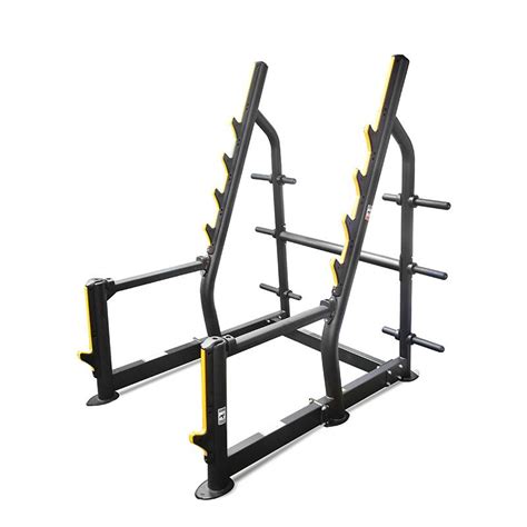 Element Fitness Squat Rack – Chris Sports