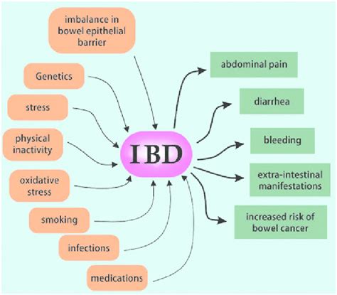 [DIAGRAM] Diagram Of Ibd FULL Version HD Quality Of Ibd - MYDIAGRAM.ONLINE