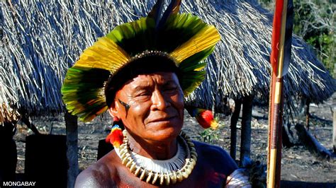 Rainforest Tribes In Brazil – Telegraph