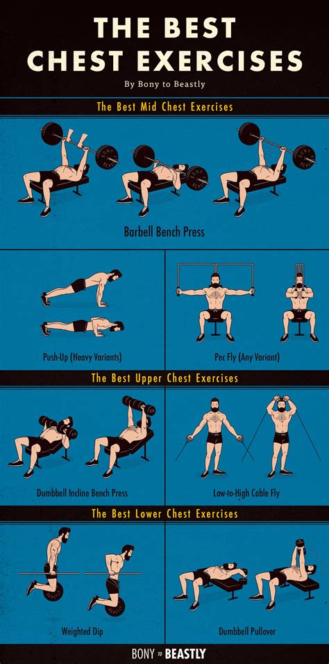 Chest Workout Chart For Mass | EOUA Blog