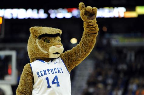 Kentucky Wildcats Mascot ♥ | Kentucky wildcats mascot, Wild cats, Big ...