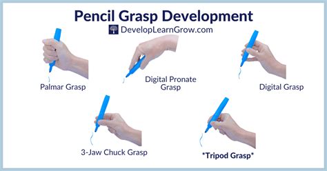 Typical Pencil Grasp Development For Kids, 50% OFF