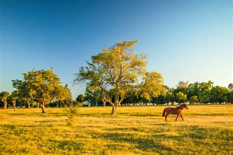 Explore The Pampas: Exclusive Vacation Packages to Uruguay | LANDED Travel