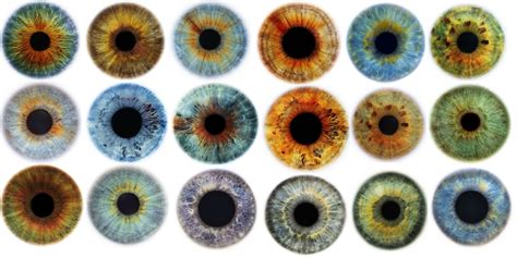 Why aren't there more eye colors? : askscience