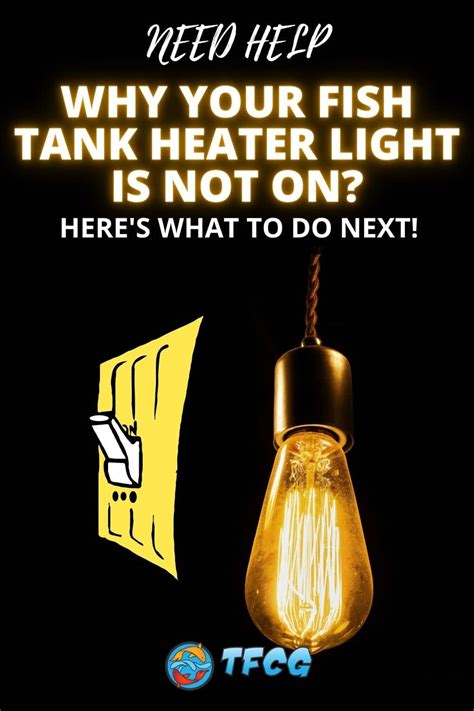 Why Your Fish Tank Heater Light Is Not On & What To Do