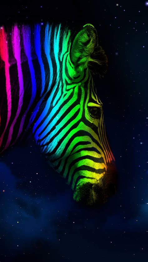 Rainbow Zebra Wallpapers - Top Free Rainbow Zebra Backgrounds ...