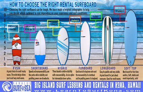 Surfing Infographic - How to Choose the Right Surfboard