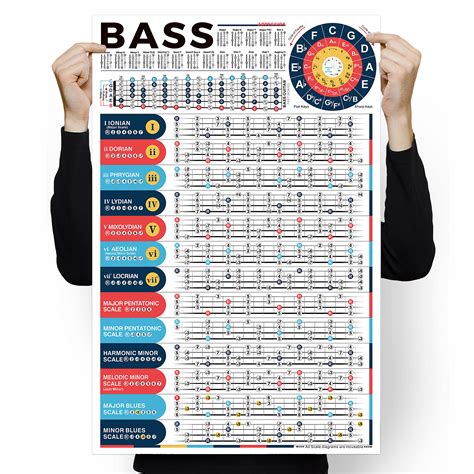 Buy Bass Scales Chart for Beginners, Master Bass Guitar Fretboard Notes ...