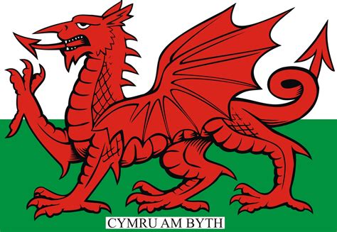 Welsh Dragon Drawing at GetDrawings | Free download