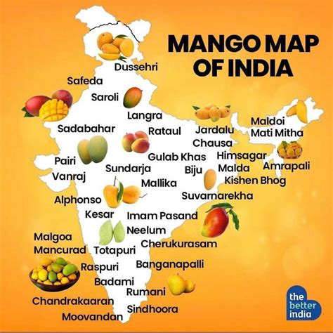 Mango season is here! Here is a map of mango varieties!! : r/MapPorn