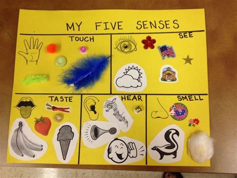 five senses ideas for preschool | 5 Senses Preschool Craft | Five ...