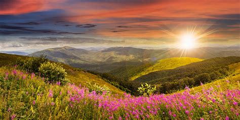 Fonds d'ecran Photographie de paysage Levers et couchers de soleil Forêts Colline Nature ...