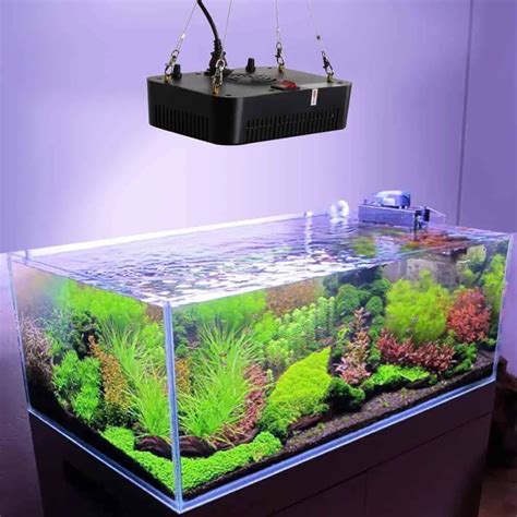 Top 3 LED Lights for Your Planted Aquarium And Guide - The Aquarium Adviser