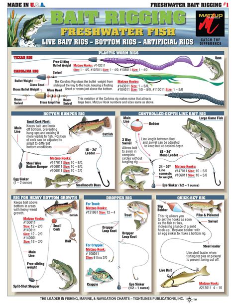 Pin by Devon Thibeault on Fishing related | Fishing rigs, Fishing basics, Bass fishing tips