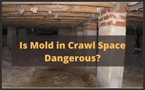 How To Kill Mold in Crawl Space-Best Mold Removal Tips