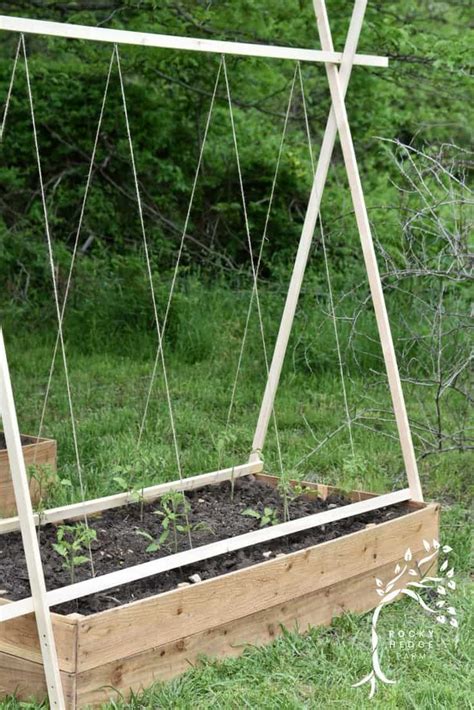 Easy DIY String Tomato Trellis - Rocky Hedge Farm