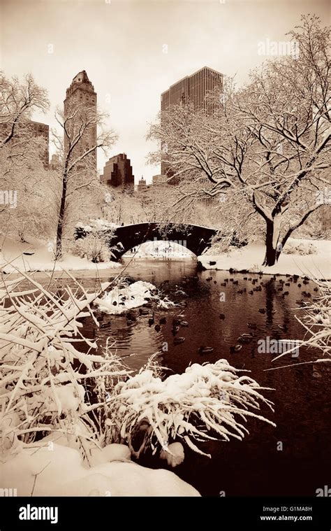 Central Park winter with skyscrapers and bridge in midtown Manhattan ...